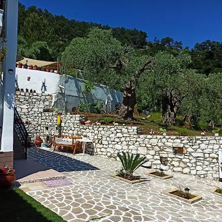 Maria Chrysi Ammoudia