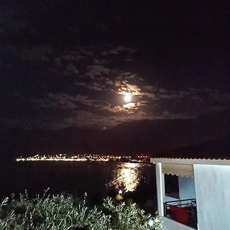 Maria Chrysi Ammoudia